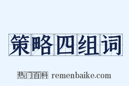 策略四组词是什么意思的图片